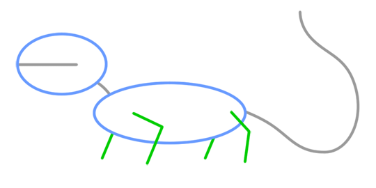 Draw a Cartoon Lizard
