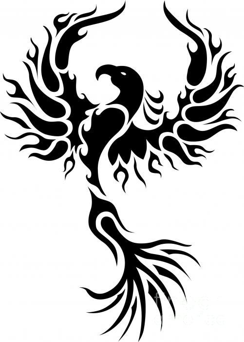 Phoenix Rising Decal Sticker, bird decals, animal stickers, pet ...