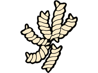 Download Pasta Clip Art ~ Free Clipart of Spaghetti & More