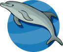 Royalty Free Dolphin Clipart