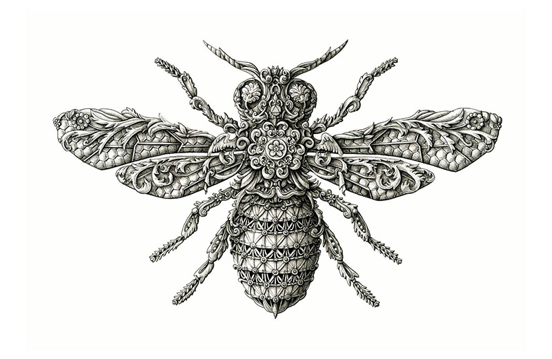 insects | Colossal