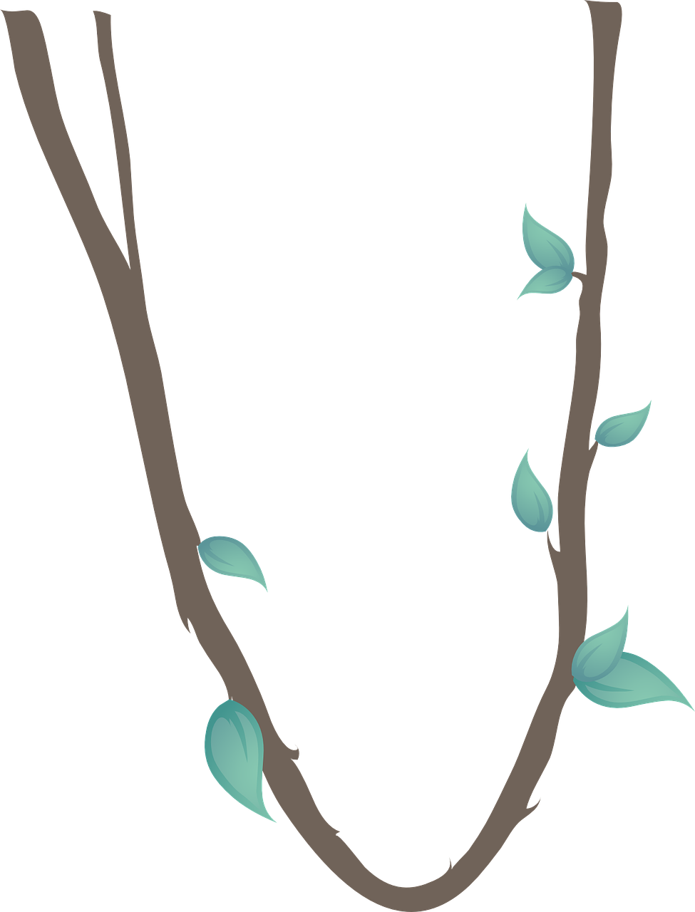 Jungle Vine Clipart