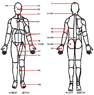 Human Body Outline Printable - ClipArt Best