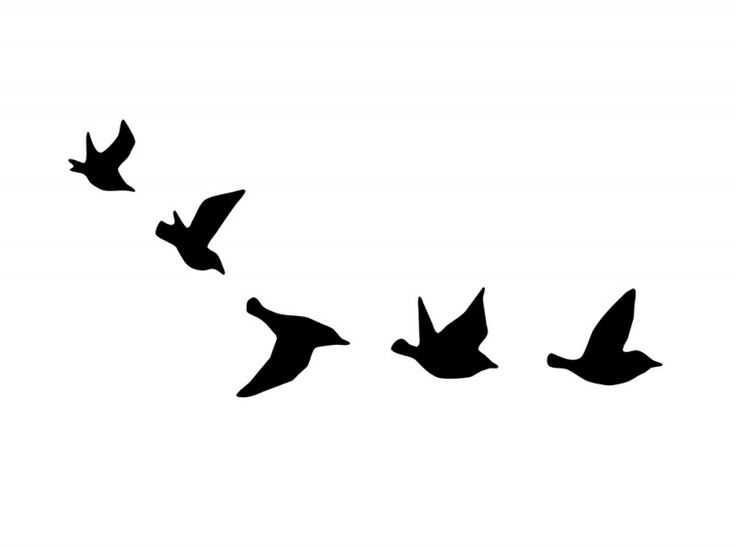 38+ Unique Birds Tattoos Designs