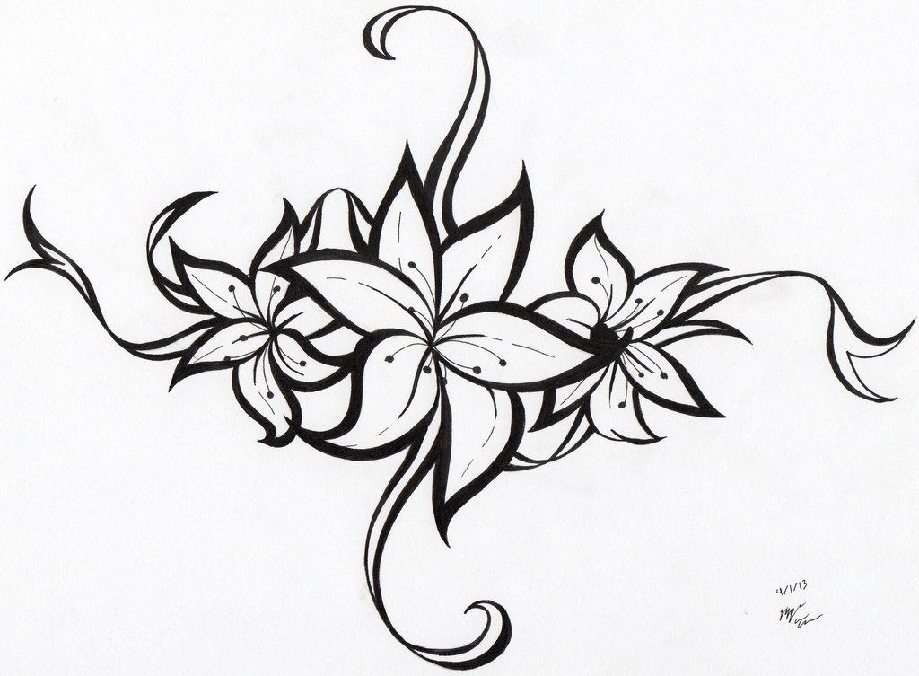 Pictures Of Flower Drawings