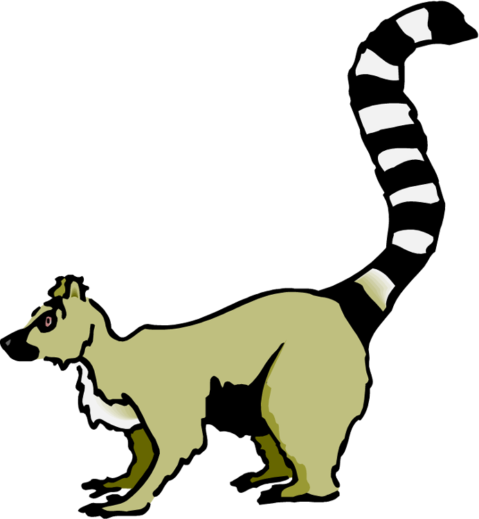 Madagascar Lemur Clipart