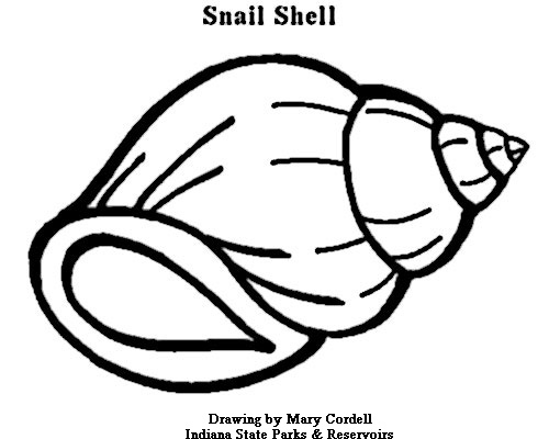 DNR: Coloring Pages - Animals