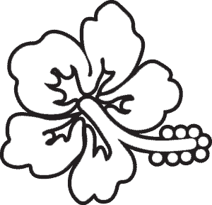 Hibiscus, Plumeria, Maile and Other Flower Vinyl Decals and ...