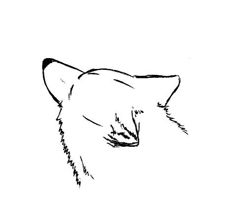howl animation by Shiro-Marusu on DeviantArt