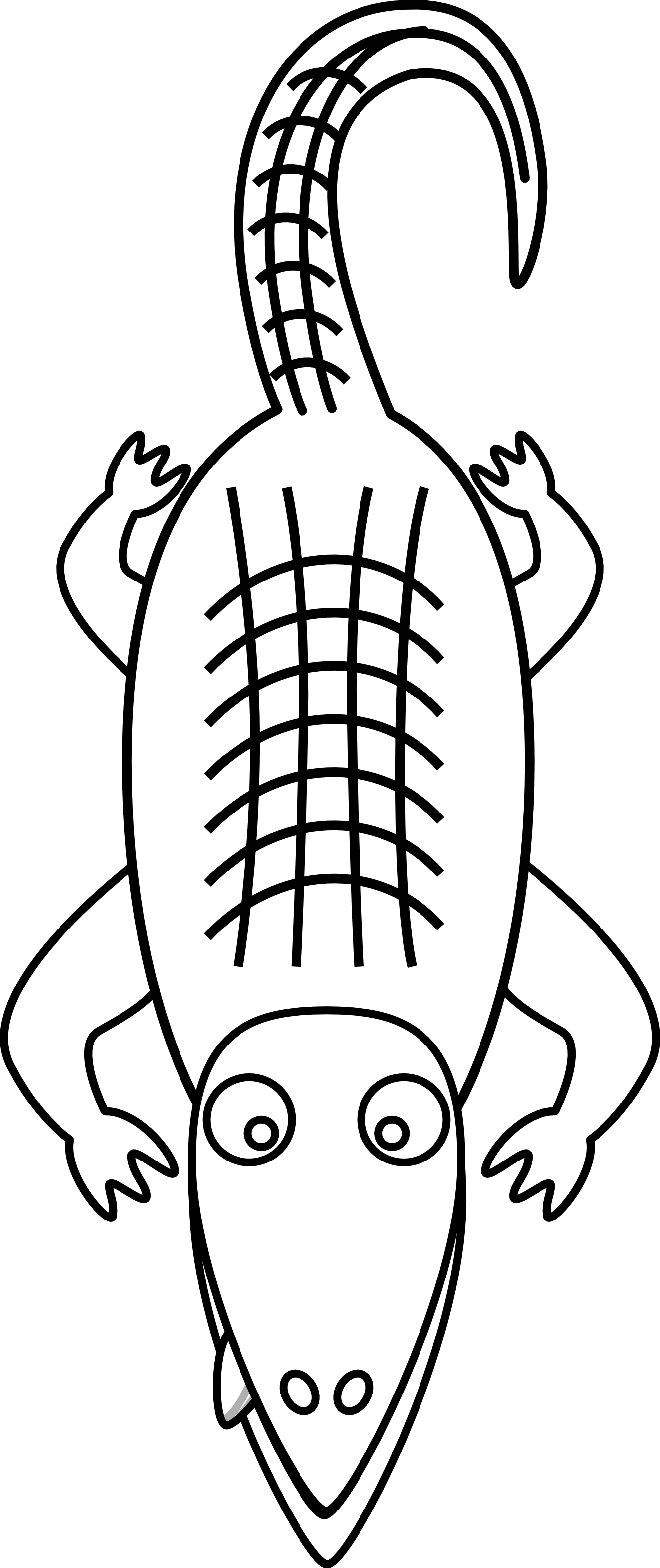 Cartoon Aligator Clip Art Portal