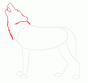 How to Draw Howling Wolves, Howling Wolf, Step by Step, forest ...