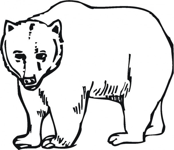 Grizzly Bear Outline - ClipArt Best