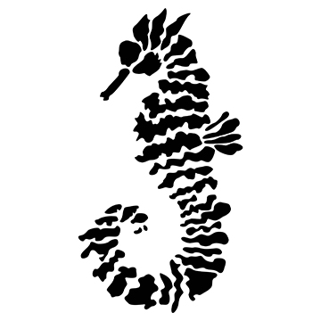 Seahorse - Alayna Citrin