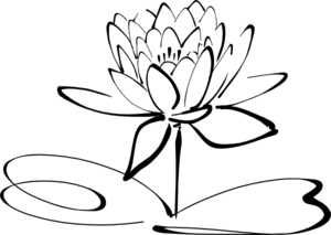 lotus-flower-md.png