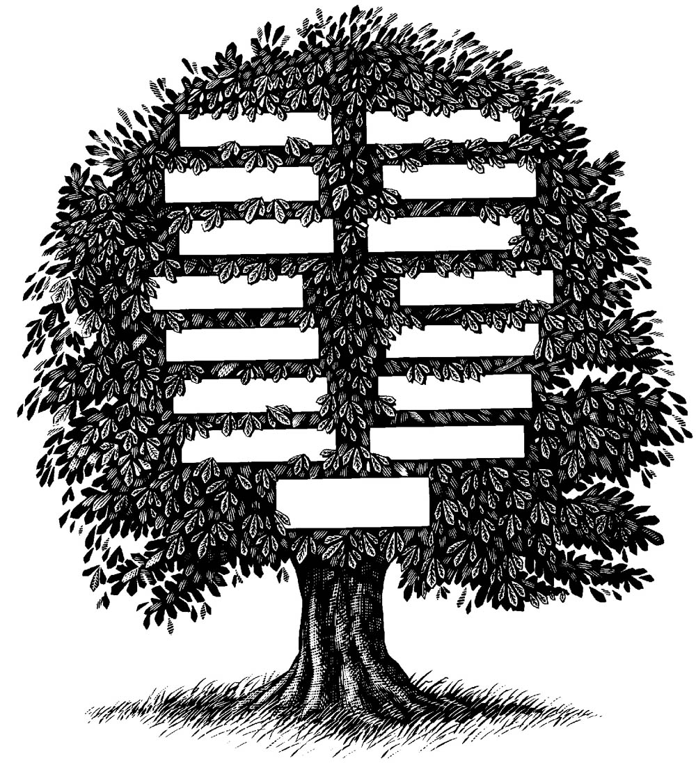 Family tree charts for kids