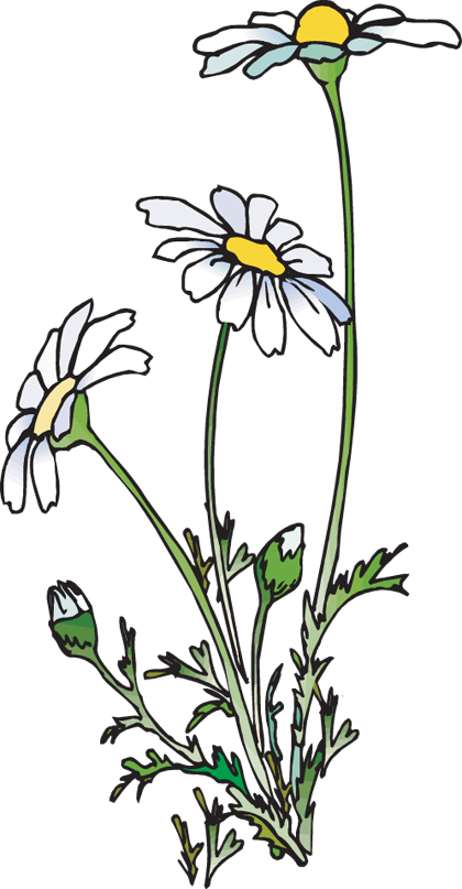 Flower Clip Art and Poetry