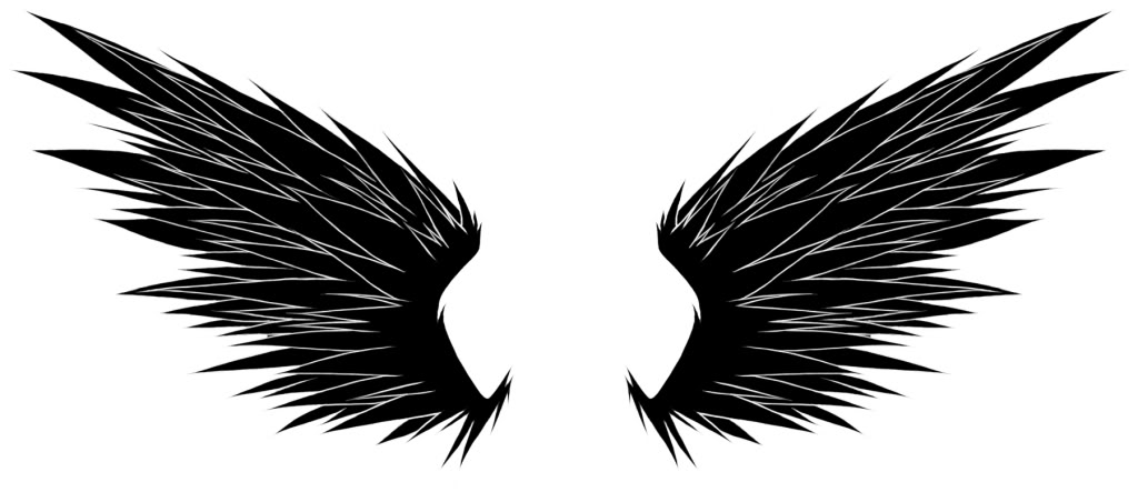 Black wings photo wing2copy.jpg