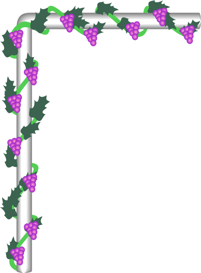 Images Of Borders Designs