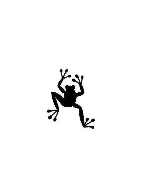 Frog Tattoos | Tattoos, Tattoo ...
