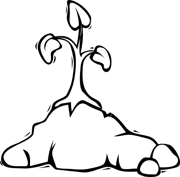 524 views Plant Outline Clip Art - vector clip art online ...