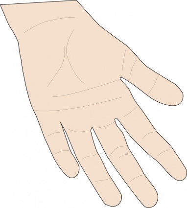 Hand Palm clip art - Download free Other vectors