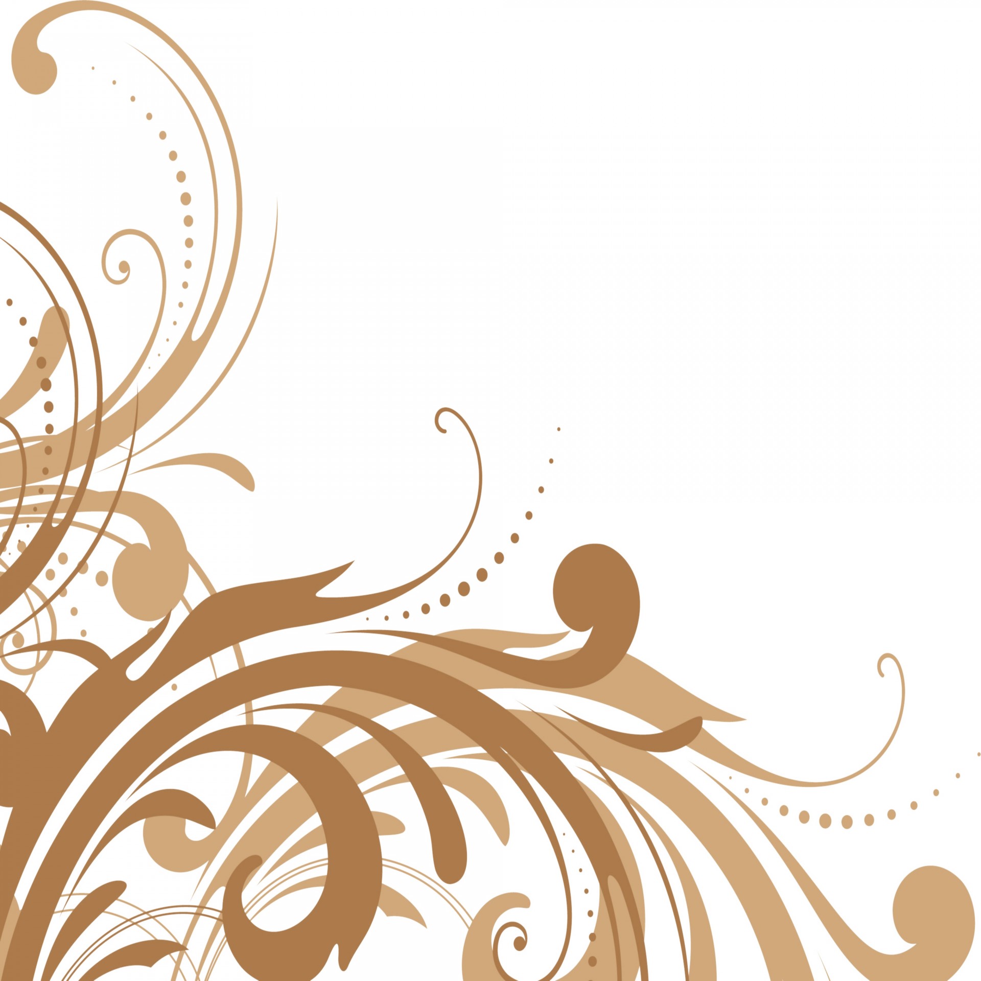 Floral Corner Frame Free Stock Photo - Public Domain Pictures