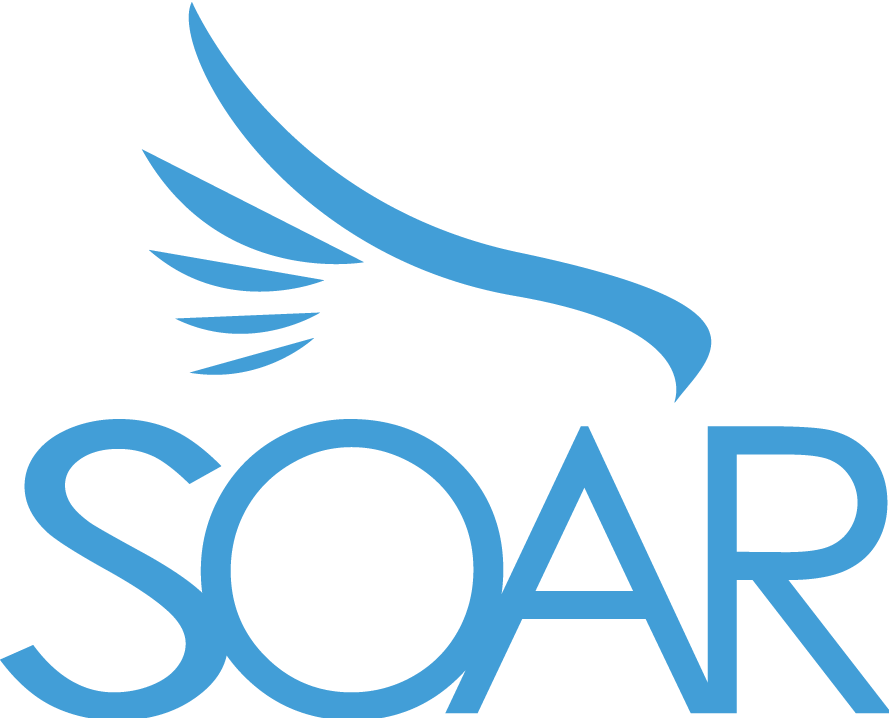 SOAR agency | Kickass Consumer Strategy