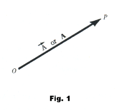 Basic concepts and conventions, vectors, scalars, operations on ...