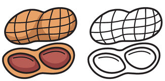 Nut Clip Art - Tumundografico