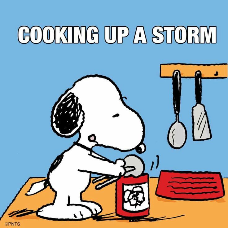 1000+ images about SNOOPY