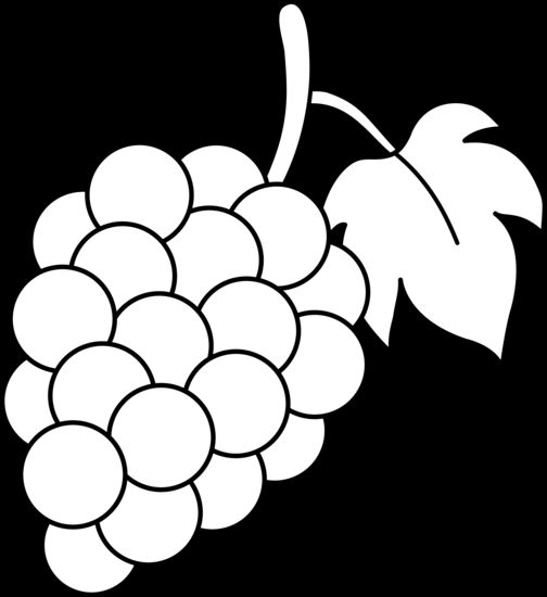 Grapes outline clipart black and white