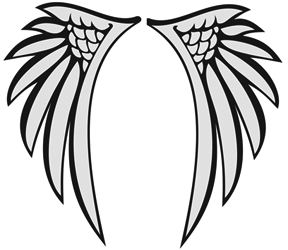 Angle Wings Cartoon - ClipArt Best
