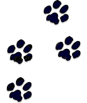 Jill Sampson Dog Boarding, Home Boarding for Dogs, Kennels in ...