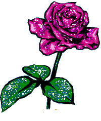 Orkut Rose Scraps, Cards, Rose Day Greetings and Wishes