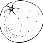 colouring-pages-of-orange-for- ...