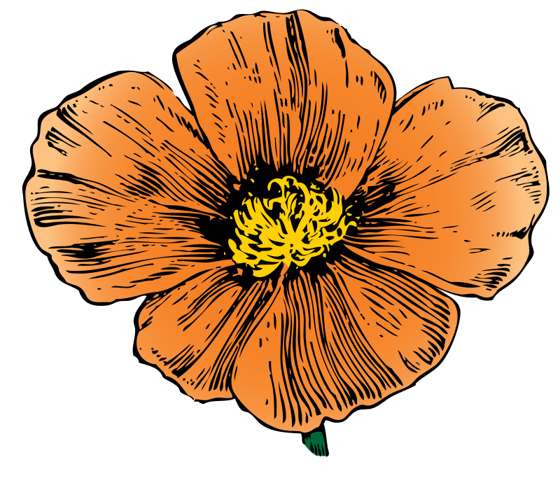 Free to Use & Public Domain Flowers Clip Art - Page 2
