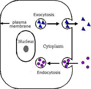 Click4Biology