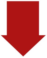 Circulation at the Rocky Mountain News and Denver Post: oh what a ...