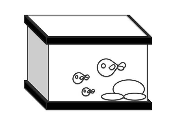 Kids Drawing of Fish Tank Coloring Page - NetArt