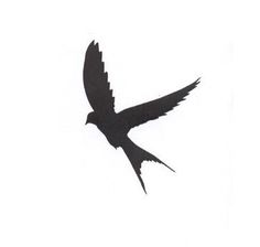 Black, Bird flying and Google