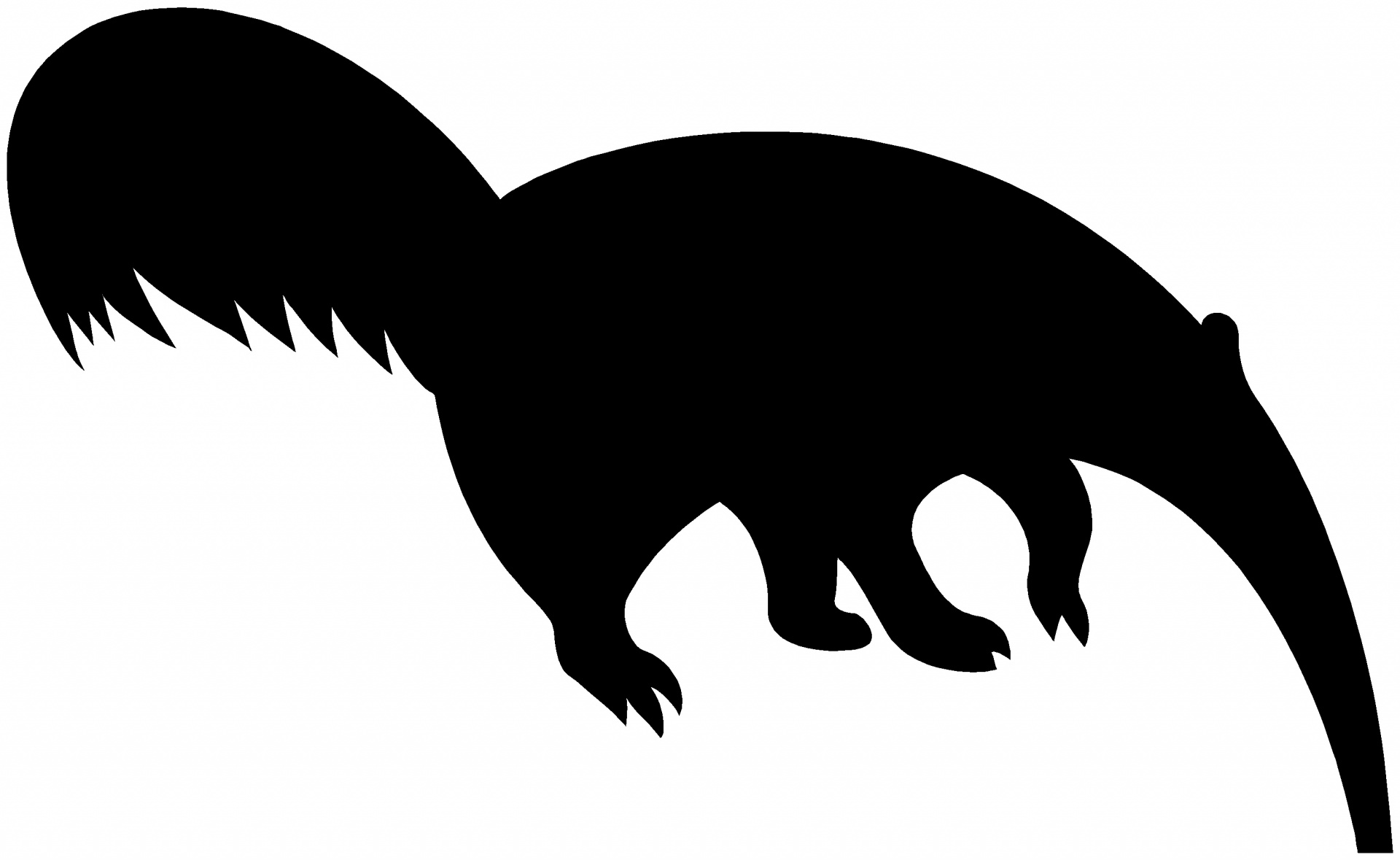 Silhouette Images - Public Domain Pictures - Page 1