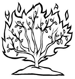 1000+ images about Shabbat | Homeschool, Menorah and ...