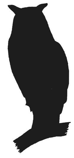 Owl Silhouette | Drawing Owls, Tree ...