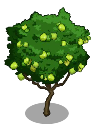 Guava Tree Clipart