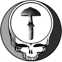 Any skilled Photoshop people? - The Pub - Shroomery Message Board