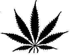 weed clip art - Free Clipart Images