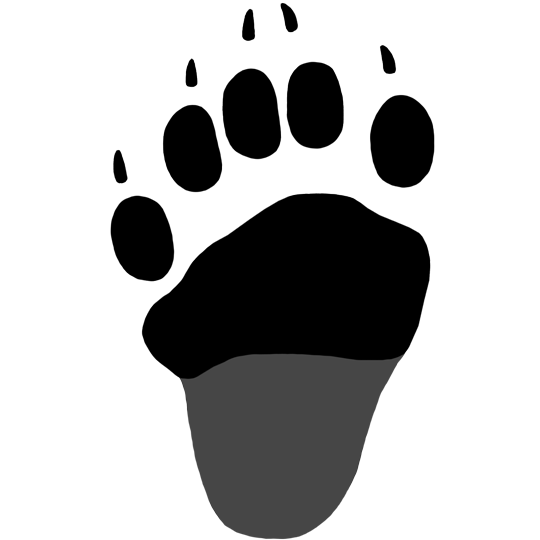Black Bear Tracks – NatureTracking