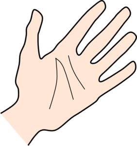 Palm Of Hand Clipart