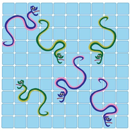 Board games, Hobbies and Snakes