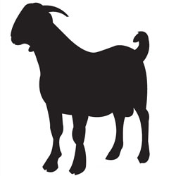 Goat Outline Clipart